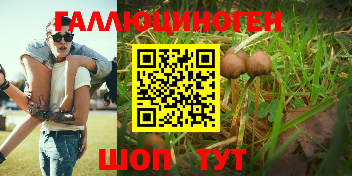 Псилоцибиновые грибы мицелий  Галлюциногенные грибы мухоморы  Вход с VPN  Скопин 